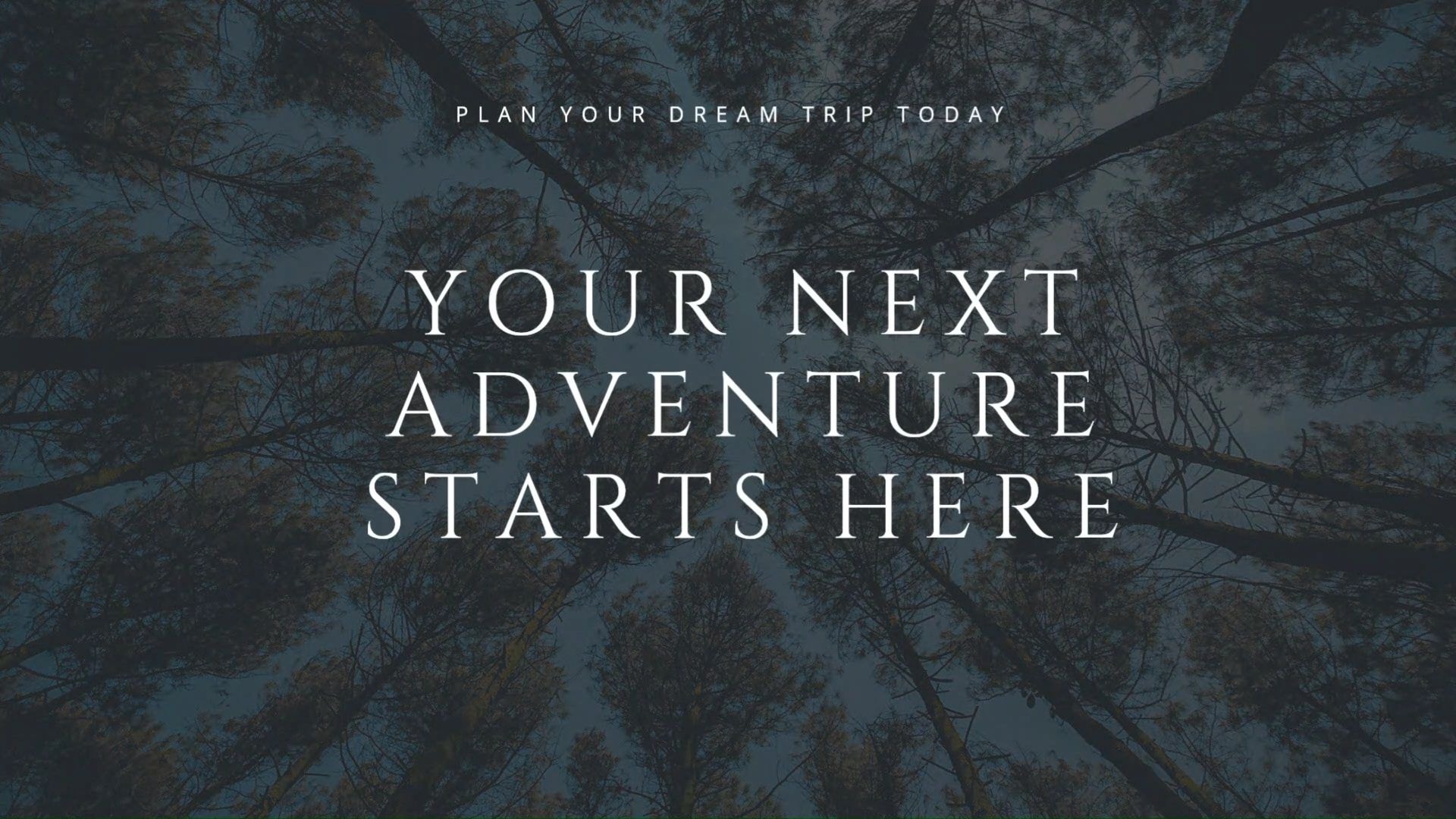 Esperanza Vacations travel experience